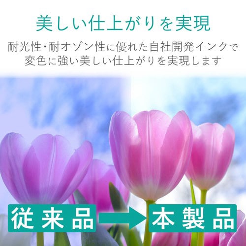 4回分 ブラック BCI−381対応