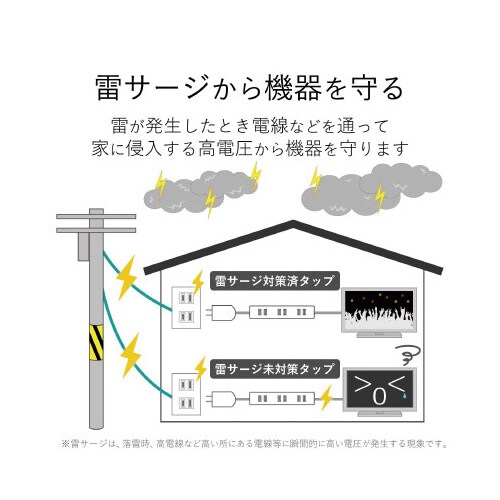 OAタップ(雷サージ対応) 2P 2個口