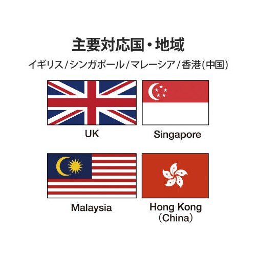 海外用変換プラグ BFタイプ