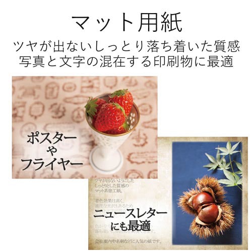 ハガキ用紙 マット紙 両面無地 特厚 50枚