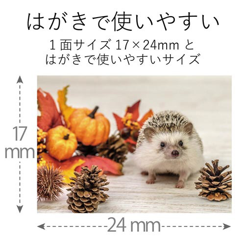 ʐ^V|
