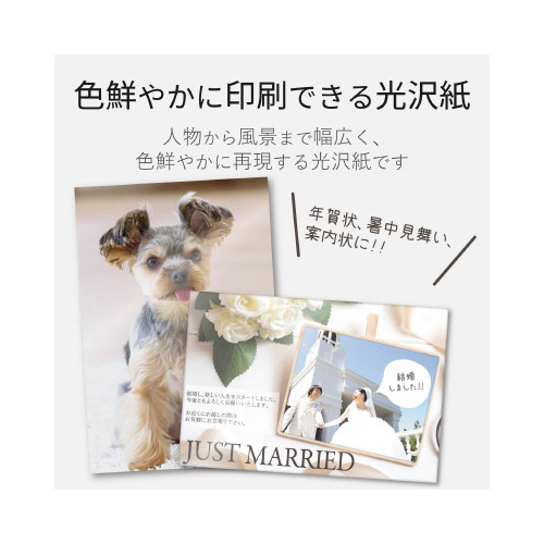 nKLp@ʐ^p