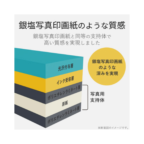 ʐ^p@掆