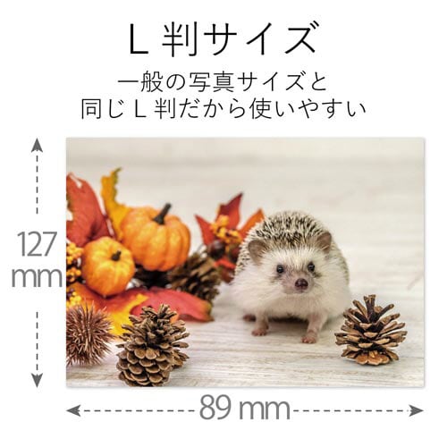 デジ得用紙 貼れる写真紙 L判 10枚