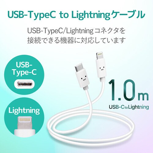 TypeC−Lightningケーブル1.0m/顔