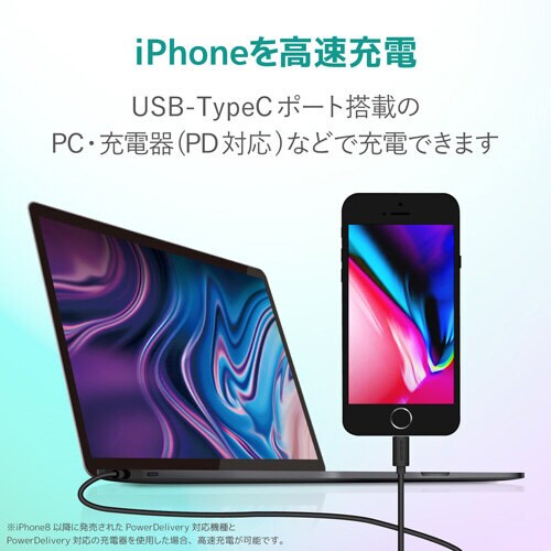 TypeC−Lightningケーブル1.0m/顔