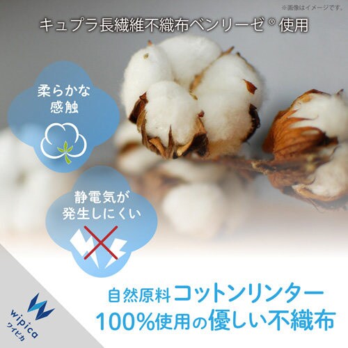 除菌ウェットティッシュ ボトル 30枚