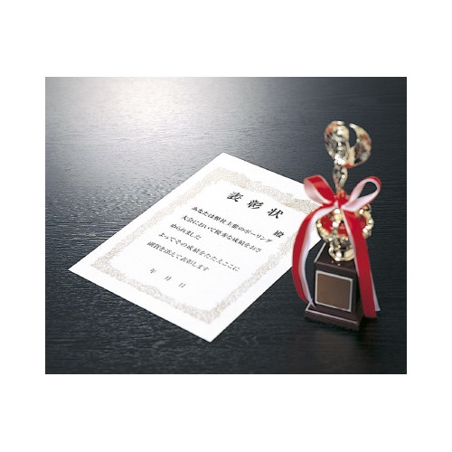 賞状用紙<OA対応>A4 横書き用 10枚