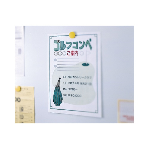 カラーレーザー&コピー<デジカメ写真>A4 30枚