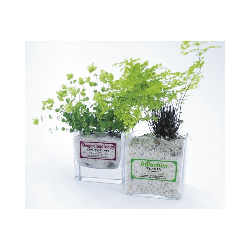 屋外にも使えるフィルムラベル 透明 1面 10枚