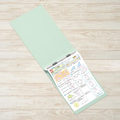 フラットファイルA4E縦罫線タイプ ブルー