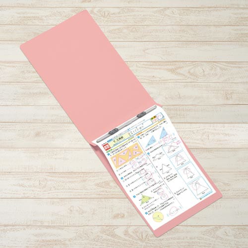 フラットファイルA4E縦罫線タイプ ピンク