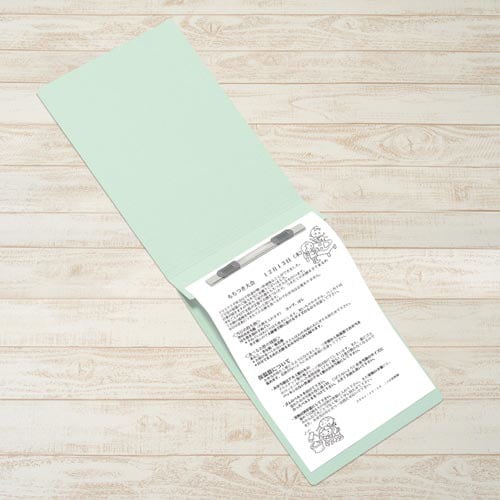 フラットファイルB5E縦罫線タイプ ブルー