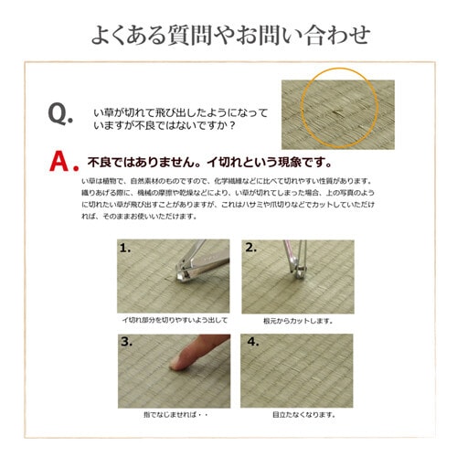 F不知火 本間8畳