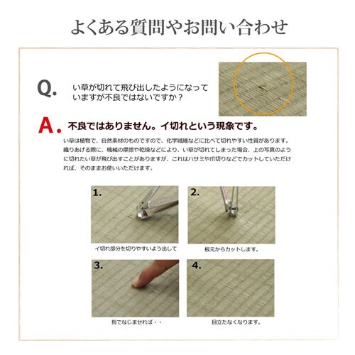 F不知火 江戸間8畳