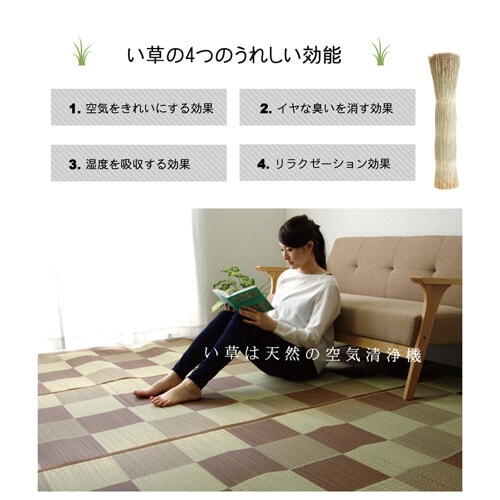 ブロック グリーン 江戸間8畳