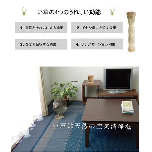 DXランクス ベージュ 江戸間3畳