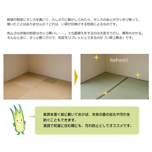 松 ナチュラル 本間8畳