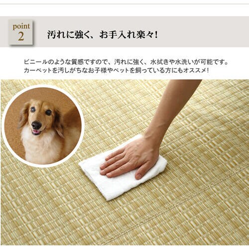 バルカン グリーン 本間10畳