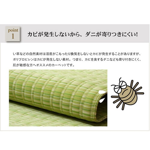 バルカン グリーン 江戸間10畳