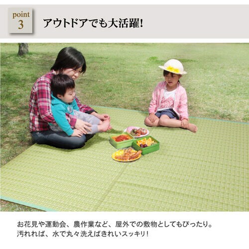 バルカン グリーン 江戸間10畳