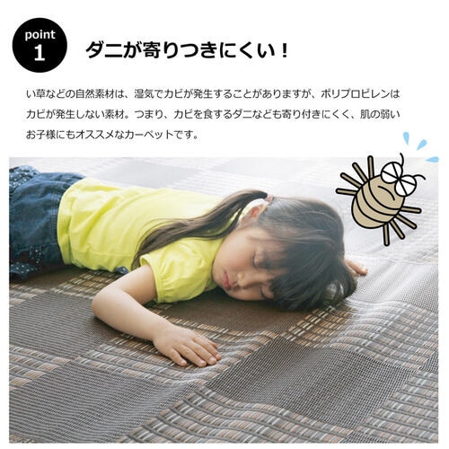 ウィード ブラック 本間8畳