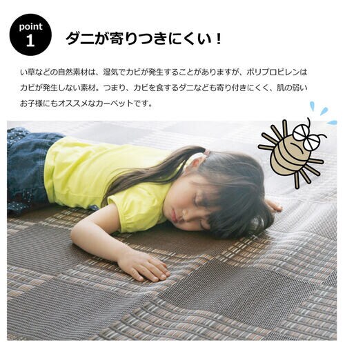 ウィード ネイビー 江戸間3畳