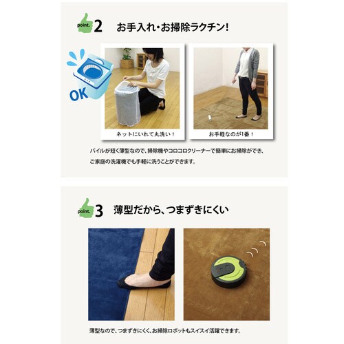 イーズ ラグ アイボリー 220×320cm