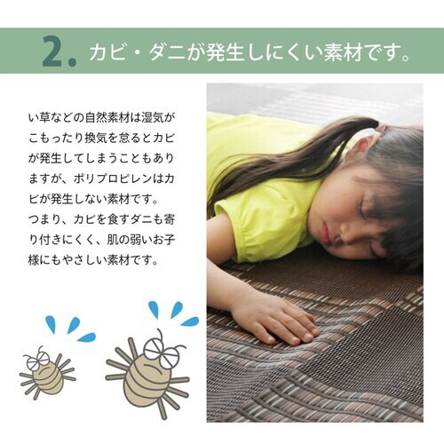 F ウィード ブラウン 江戸間4.5畳