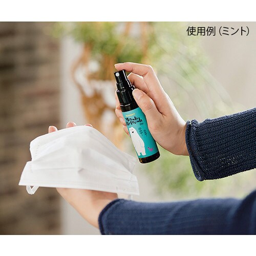 マスクリフレッシュ ミント