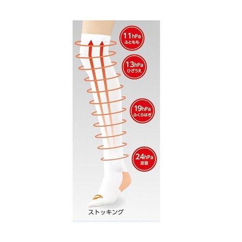 ベスケア 弾性ストッキング M
