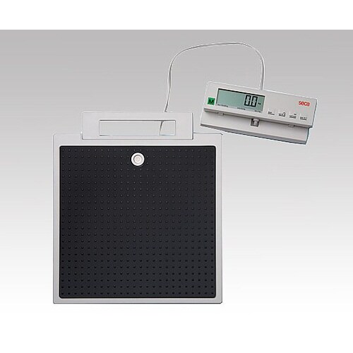 デジタルフラットスケール seca899