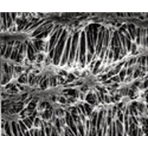 フロリナトフィルタFALP04700百枚