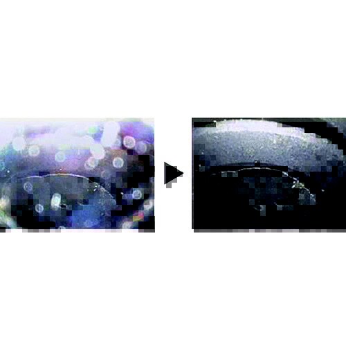 工業用内視鏡 F300−6.0mm1m