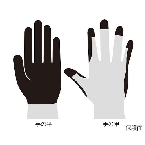 ^[gXLiqjO[u@bo@g@u@ol