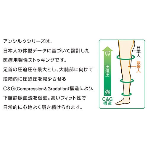 アンシルク3ST 18642 LBr L