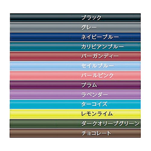 リットマンステソスコープ 5803