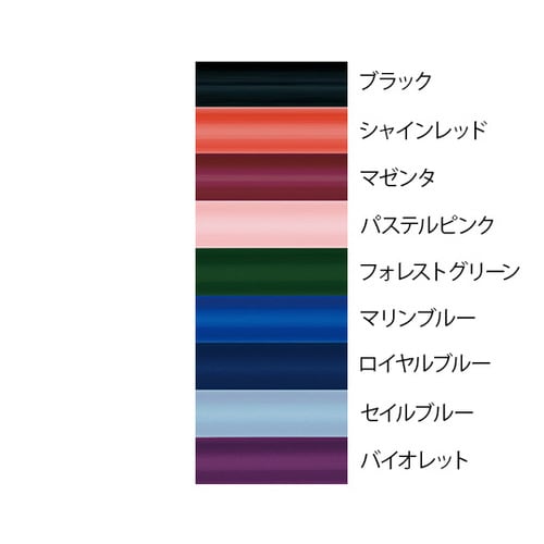 スーパースコープ バイオレット