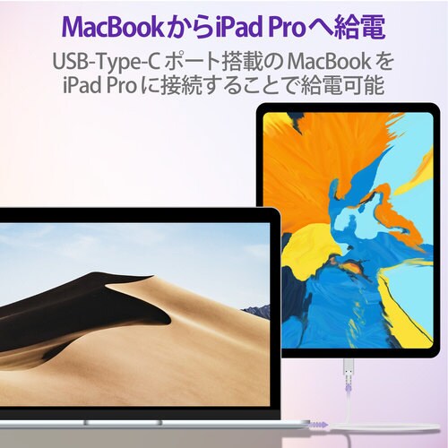 USBケーブル C−C 高耐久 0.3m ホワイト