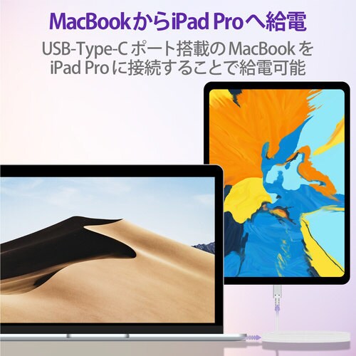 USBケーブル C−C 高耐久 2.0m ホワイト