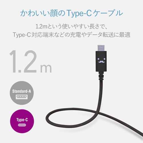 TypeCケーブル A−C 1.2m ブラック