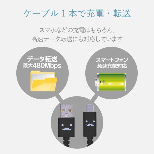 TypeCケーブル A−C 1.2m ブラック