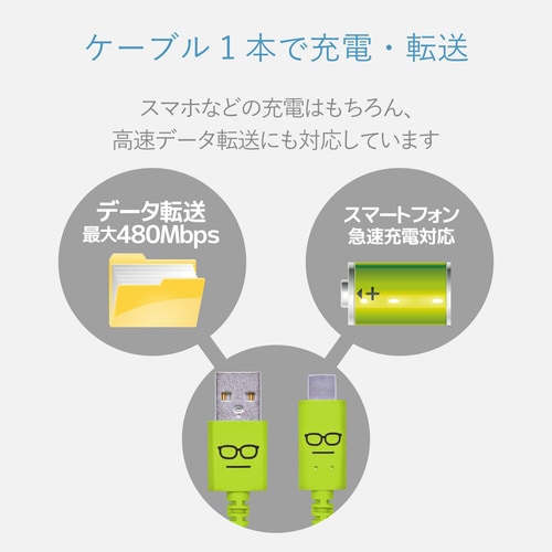 TypeCケーブル A−C 1.2m グリーン