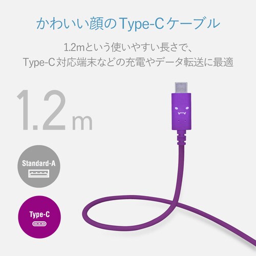 TypeCケーブル A−C 1.2m パープル