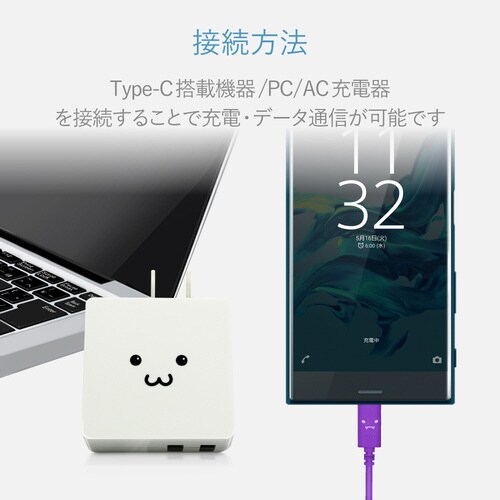 TypeCケーブル A−C 1.2m パープル