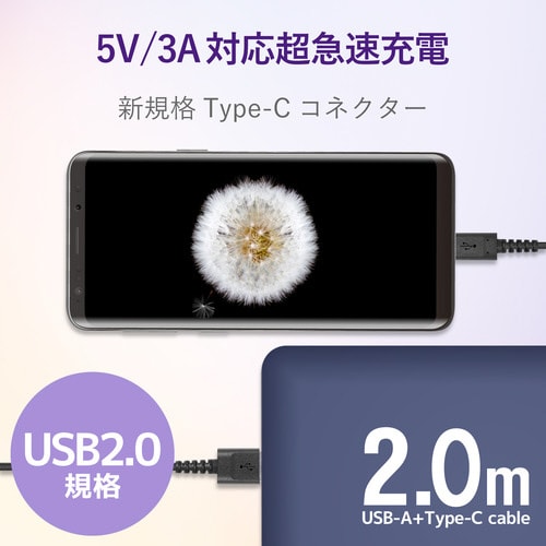 タイプC 高耐久 2.0m ブラック