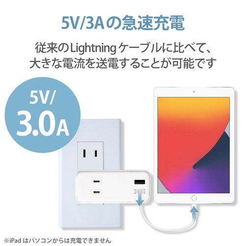 Lightningケーブル 0.1m ホワイト