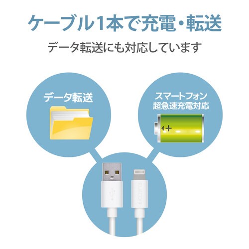 Lightningケーブル 0.1m ホワイト