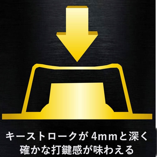 有線キーボード メンブレン DUX30 ブラック