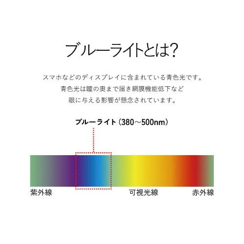 BL65%カット ブラウンレンズ ワイン